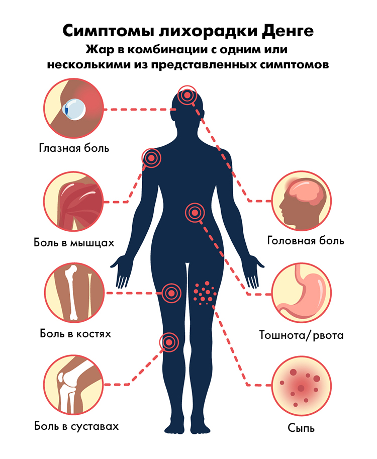 Лихорадка денге — Википедия