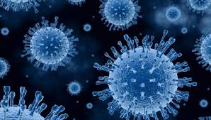 Острые кишечные инфекции: норовирусы и их  профилактика