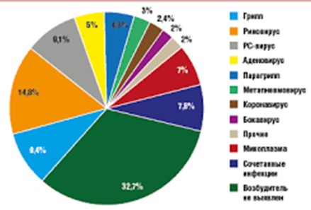 Когда в Беларуси ожидается пик респираторных инфекций?