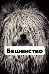 Что важно знать о бешенстве? Простые ответы на сложные вопросы!