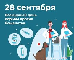 И псу конурка, и коту печурка: животные –компаньоны или профилактика бешенства у людей