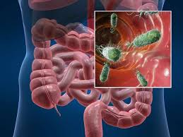 Вирусные кишечные инфекции: профилактика