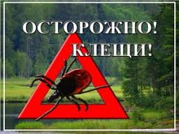 Меры профилактики заражения клещевым энцефалитом и Лайм-боррелиозом