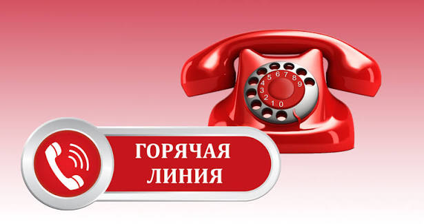 О функционировании горячей линии