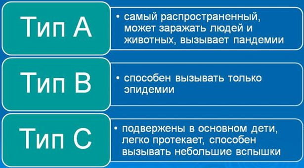 Вирус гриппа В и вакцинация